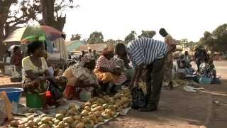 Caju a fruta de Bissau [upl. by Erot832]