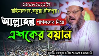 গতকালকে মাহফিলে আল্লাহর পাগলদের নিয়ে শায়েখে চরমোনাইর এশকের বয়ান। Mufti Foyzul karim Cormonai New Waz [upl. by Pesek]