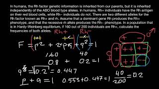 Rh factor how to find allele frequency [upl. by Lednik549]