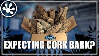 What to Expect When Youre Expecting Cork Bark [upl. by Dianuj]