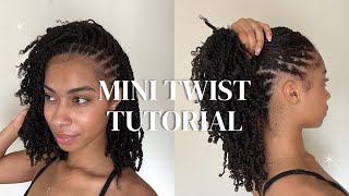 a mini twist tutorial  no heat or hair added [upl. by Anaud]