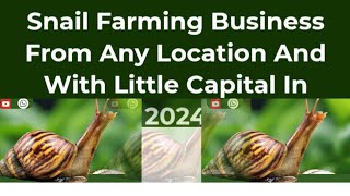 FREE SNAIL FARM TRAINING IN AFRICA [upl. by Merrick]