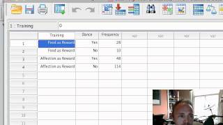 ChiSquare Test on SPSS [upl. by Worden]