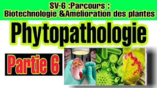 Phytopathologie  Partie 6 Terminologie Liée aux agents pathogènes [upl. by Cirek]