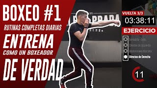 🥊 ENTRENA BOXEO en CASA  Entrenamiento completo 𝗡º𝟭 𝗱𝗲 𝟮𝟴 para entrenar como un boxeador de verdad [upl. by Layap]