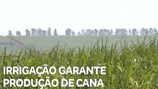 Conexão Agro irrigação garante produção de cana em meio a mudanças climáticas [upl. by Libyc]