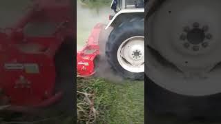 Maschio rotavator field performance [upl. by Wagoner494]