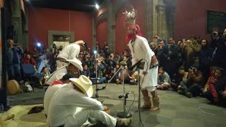 Danza de Pascola y Venado Mayo de Sinaloa en el museo Indígena de la cd de México noviembre 2018 [upl. by Thury]