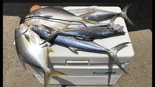 S2 Ep6 BIG Pompano and Spanish Mackerel at the Jetties Freeport TX [upl. by Elka]