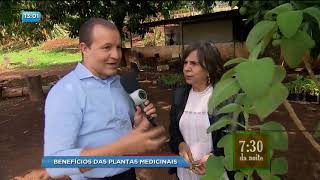 BG  Benefícios das plantas medicinais  05102017 [upl. by Shaer]