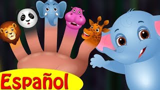 Familia Dedo Elefante Colección  Canciones infantiles en EspañolChuChu TV [upl. by Checani]