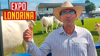 Fiz uma visita na EXPO LONDRINA a maior da América Latina parte 01 [upl. by Annij920]