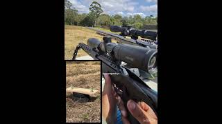 Shooting aerosol gas cans with Ruger Precision 22 Rimfire Rifle wearegundays guns shooting [upl. by Connelley885]