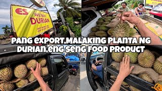 ENG SENG FOOD PRODUCTMALAKING PLANTA NG DURIAN SA CALINAN DAVAO CITY [upl. by Neliak676]