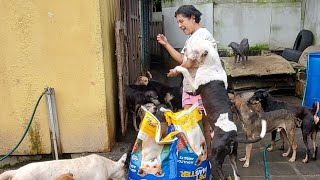 Refugio COLITAS recibe ALIMENTOS NICARAGUA [upl. by Gnous341]