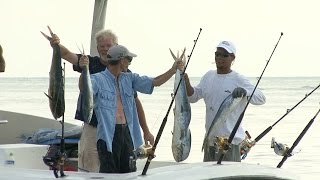 Roatan Fishing Tournament [upl. by Allenod804]