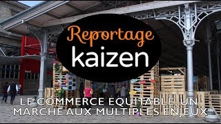 Le commerce équitable un marché aux multiples enjeux [upl. by Frederic]