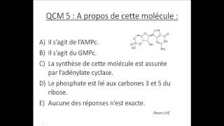 QCM  UE 1  Biologie moléculaire [upl. by Iniffit]