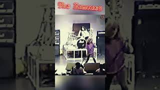 The Ramones Beat On The Brat – Punk Rock Energy Unleashed rock shorts punkrock 4k music [upl. by Nager]