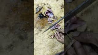 amezing chicken cutting skillstelangana telangana chicken streetfood cooking [upl. by Esinereb]