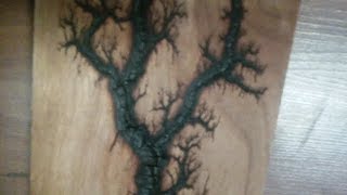 Making Lichtenberg Figures Experiment 1 [upl. by Anaele]