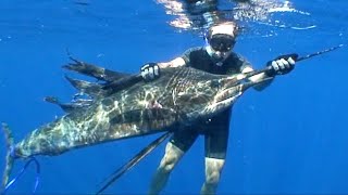 Top shot spearfishing 2 Sailfish Top chasse sousmarine 2 L espadon voilier [upl. by Ailisec]