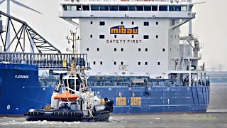 Einlauf Selbstentlader FJORDNES selfdischarging bulk carrier amp tug amp pilot V2HF8 IMO 9880855 [upl. by Steffen811]