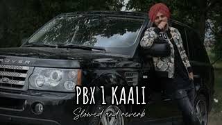 PBX KAALI  SLOWED AND REVERB  SIDHU MOOSE WALA  SUPREME BHAI [upl. by Perretta]