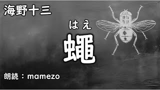 【小説朗読  SFﾐｽﾃﾘｰ】 海野十三 「蠅」【短編集】 [upl. by Nolahp]