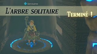 Zelda Breath of the wild Larbre solitaire [upl. by Dav195]