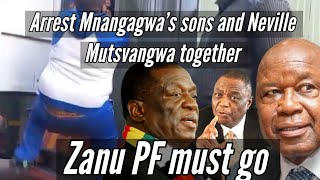 Arrest Mnangagwas sons and Neville Mutsvangwa together 🇿🇼 [upl. by Bedell]