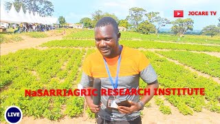 How to sellect the Best Crop varieties seeds for high yields visit Nasari in Serere Distric [upl. by Luhe]