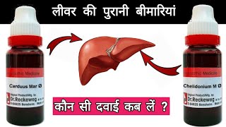 लीवर की पुरानी गर्मी  liver disease  Cardus M Q  Chelidonium Q  Jaundice  garmi  dr tarun [upl. by Desta]