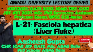 L21 Fasciola hepatica Liver Fluke  Lifecycle amp Metacercaria Larva  ICMR JRF CSIR JRF amp NEET [upl. by Whitebook]