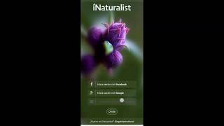 Tutorial cuenta nueva Naturalista desde Android [upl. by Wandy]