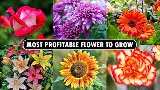 Most profitable Flower to Grow  Flower Farming Business [upl. by Dijam]