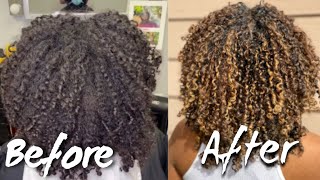 Honey Blonde Hair Using NO BLEACH  IS IT POSSIBLE [upl. by Gresham]