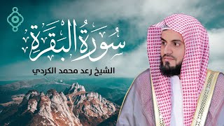 سورة البقرة كاملة بصوت الشيخ رعد محمد الكردي Surah Al Baqarah Full  Raad Mohammed Al Kurdi l [upl. by Arley309]