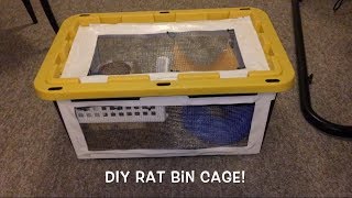 Making a DIY Rat Bin Cage [upl. by Ayna]