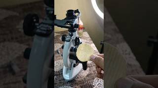 Lays under the microscope 🔬🤯😱 microscope science experiment lays laysunderthemicroscope facts [upl. by Kaliope]