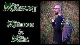 Mugwort  Medicine amp Magic [upl. by Nuahsar]