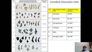 Microfossils as Thermal Metamorphic Indicators [upl. by Wills375]