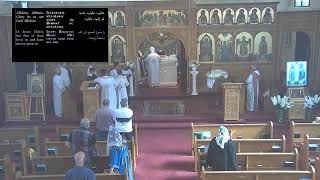 Divine Coptic liturgy 101423 [upl. by Eila]