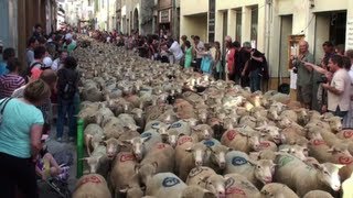 Fête de la Transhumance à Die 2013 Drôme  France [upl. by Oiruam]