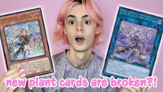 NEW PLANTS Aroma Plant Combos  Deck Profile [upl. by Schubert]