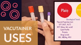 Blood Collection Vacutainer  Uses  Ateev Chandna [upl. by Alyks]