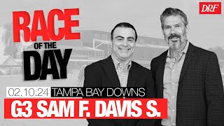 DRF Saturday Race of the Day  Grade 3 Sam F Davis Stakes  February 10 2024 [upl. by Osner882]