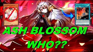 HOW TO PLAY AROUND ASH BLOSSOM LIKE A PRO BRANDED NADIR SERVANT COMBOS POST CYAC デスピア ビーステッ [upl. by Okoy340]