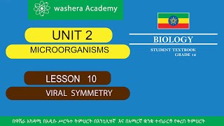 BIOLOGY GRADE 12 UNIT 2 LESSON 10 VIRAL SYMMETRY [upl. by Nirik]