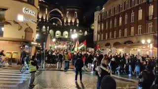 Leve Palestina  Ellen Kall K talar på protestmöte i Helsingborg [upl. by Bruner]